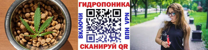 блэк спрут зеркало  купить наркотик  Андреаполь  Печенье с ТГК конопля 