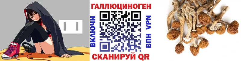 наркота  Андреаполь  Псилоцибиновые грибы Magic Shrooms 