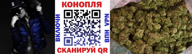 Конопля планчик Андреаполь